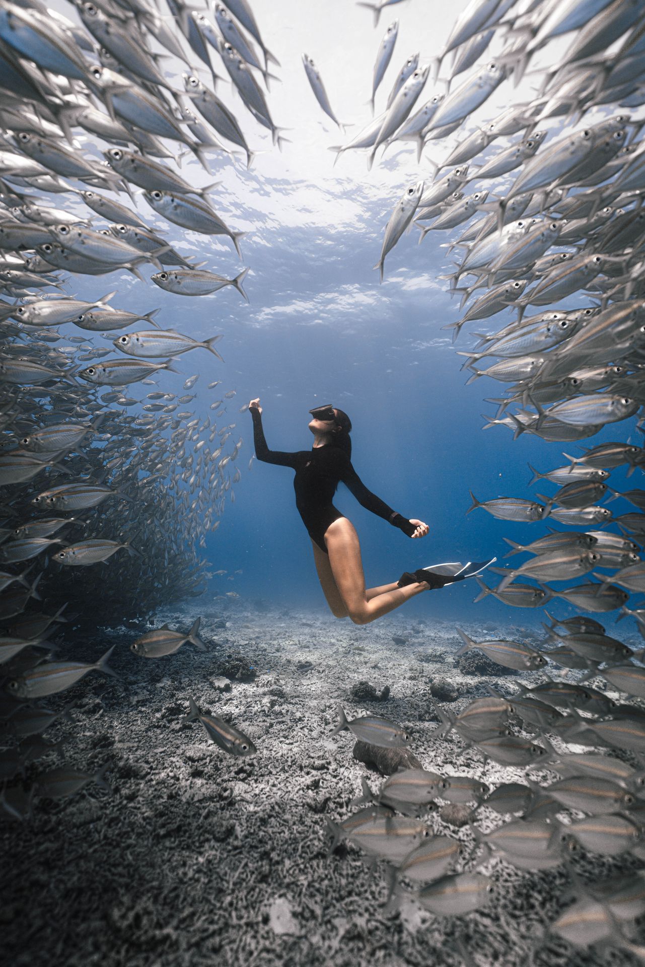Lang Tengah, Malaysia · Shello dive expedition