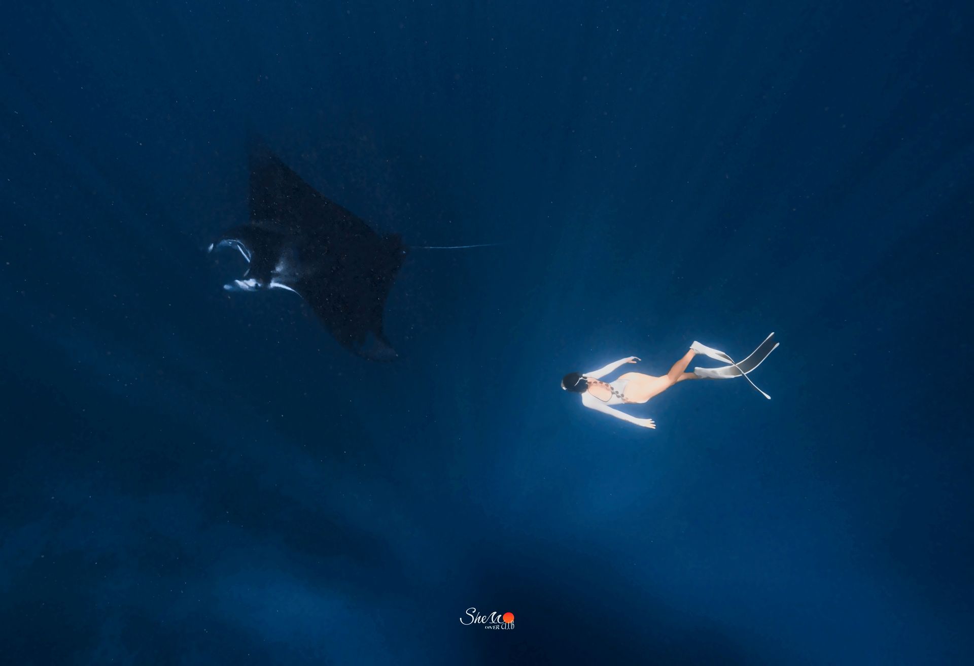 Maldives, Maldives · Shello dive expedition